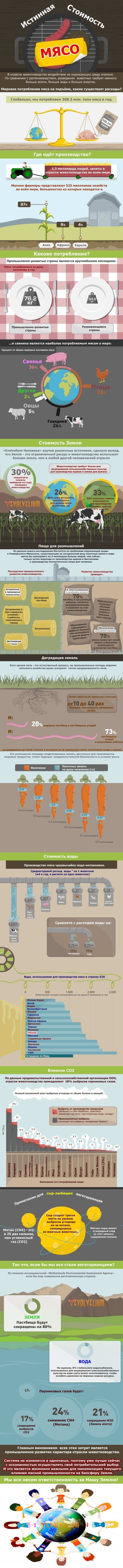 Животноводство инфографика
